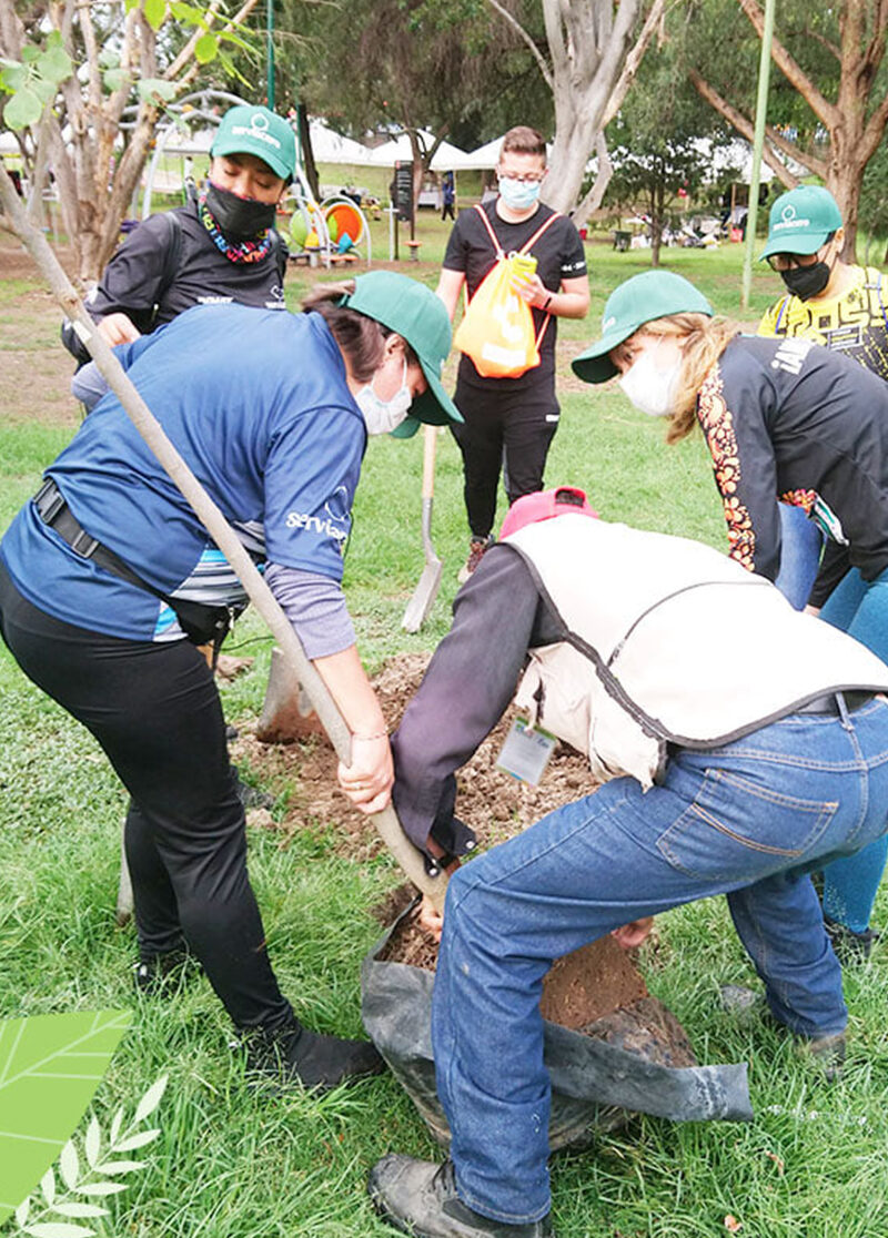 Compromiso-Ambiental